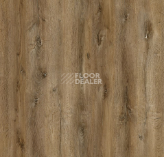 Ecoclick Rich замковый 4.2мм NOX-1959 Дуб Марракеш фото 3 | FLOORDEALER